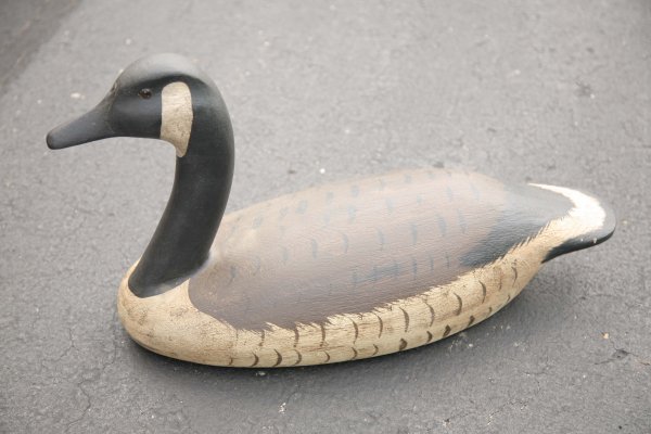 CANADA GOOSE. Twentieth century. Carved wood  - 3