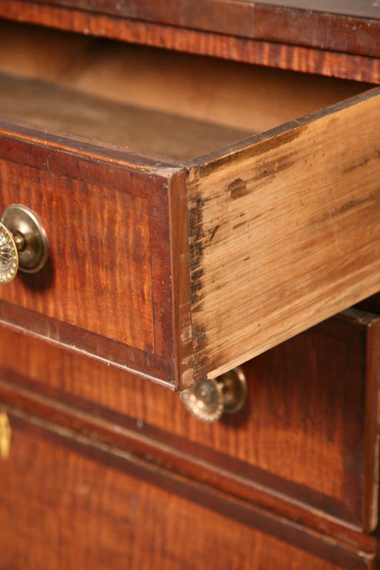FOUR DRAWER SHERATON CHEST. Probably Ohio Valley. - 2