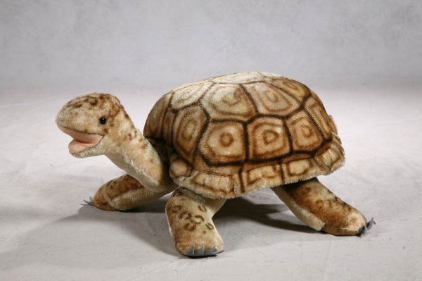 steiff turtle