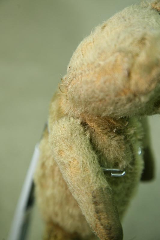 VINTAGE STRAW STUFFED BEAR. Probably English. Jo - 4