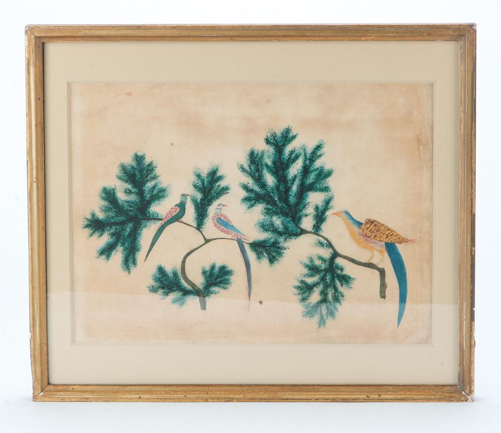 AMERICAN IMAGE OF PEAFOWL. (1 of 2)