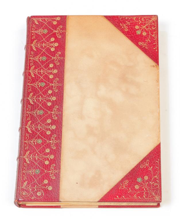 HISTORY OF NIAGARA FALLS BY GRABAU. (1 of 3)