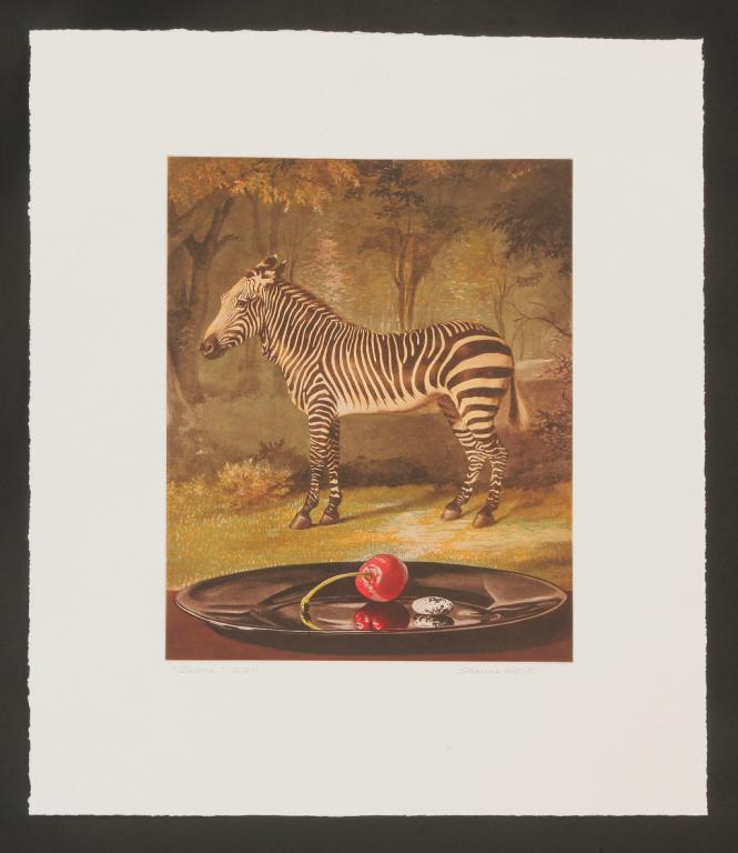 ZEBRA COLORED PRINT, SHERRY WOLF. (1 of 3)