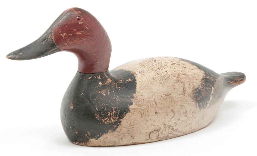 AMERICAN EVANS DECOY COMPANY CANVASBACK. (1 of 4)