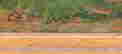 item-99434433=2