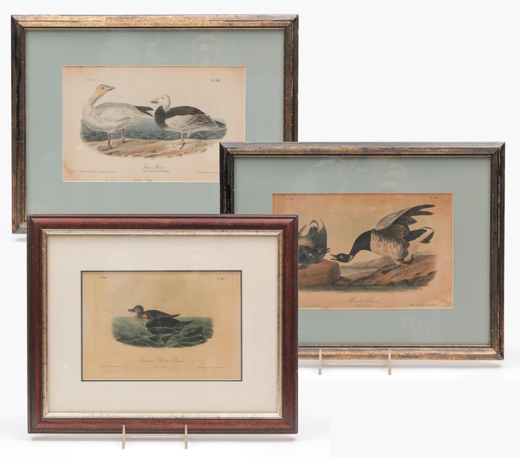THREE JAMES AUDUBON BIRD PRINTS. (1 of 5)