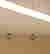 item-101197568=7