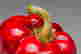 item-105909913=4