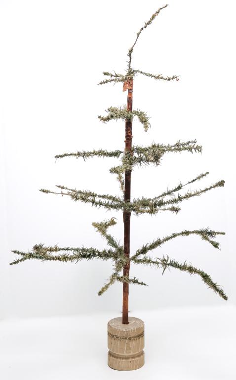GERMAN FEATHER TREE. (1 of 2)
