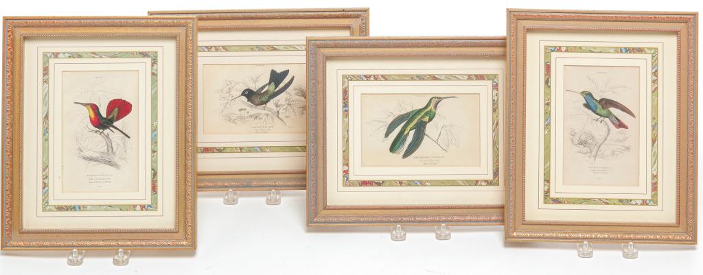 FOUR PRINTS OF SOUTH AMERICAN BIRDS. (1 of 5)