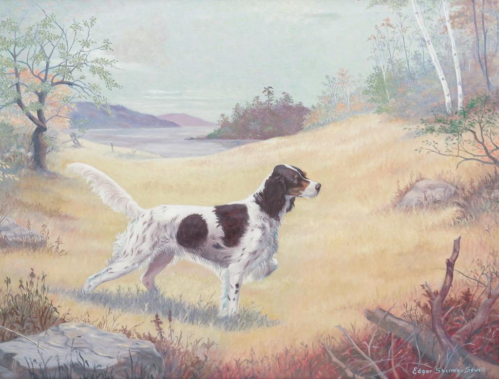 HUNTING DOG BY EDGAR SHERMAN SEWELL.: Maine, 1898-1975. Oil on canvas, signed lower right with "Palermo, Maine" on the stretcher. English setter in a field. 22"h. 28"w., carved frame, most likely by the artist, 26.75"h. 32.75"w.
