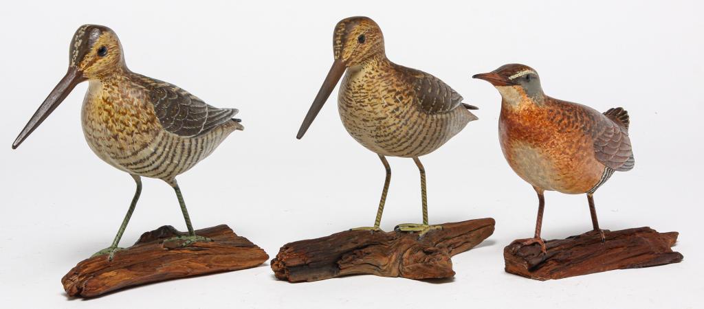 THREE AMERICAN SHORE BIRDS BY PAUL HENRY. (1 of 8)