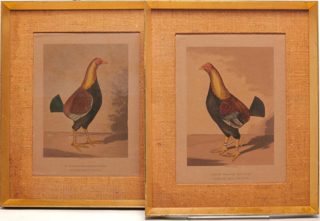 PAIR OF ENGLISH GAMECOCK PRINTS. (1 of 4)