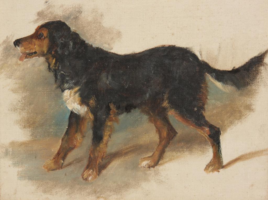 OIL ON ARTIST BOARD ATTRIBUTED TO AJ STARK.: 1831-1902. England. Study of a shaggy brown dog, 8"h. 10"w. Framed, 13"h. 15"w.