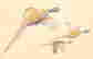 item-118790945=3
