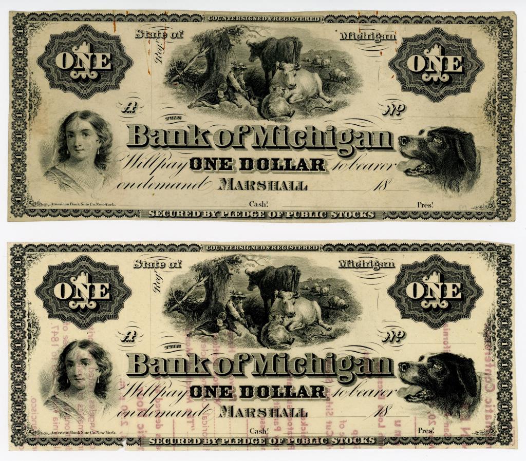 TWO BANK OF MICHIGAN OBSOLETE CURRENCY NOTES (1 of 2)