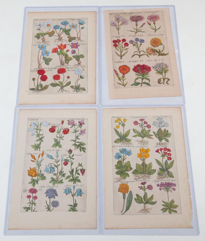 FOUR EMANUEL SWEERT BOTANICAL PRINTS. (1 of 6)