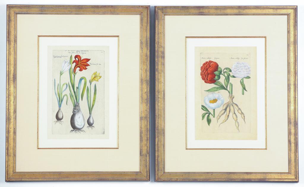 TWO EMANUEL SWEERT BOTANICAL PRINTS. (1 of 4)