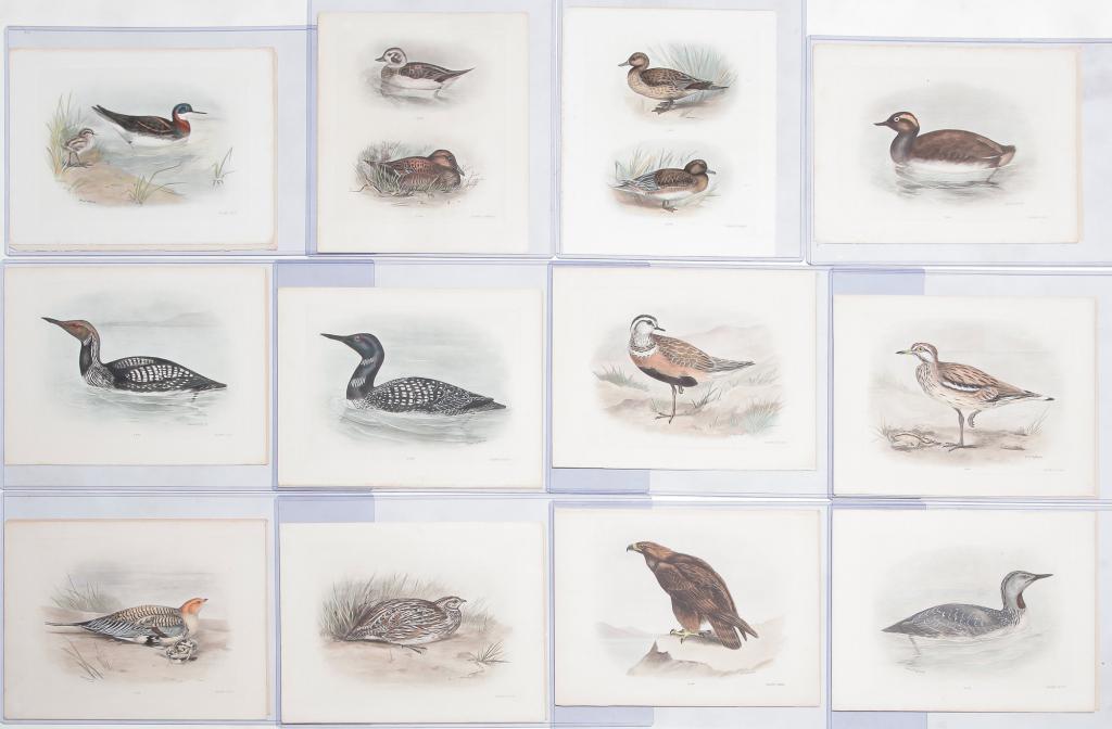 TWELVE LILIAN MEDLAND PRINTS. (1 of 6)