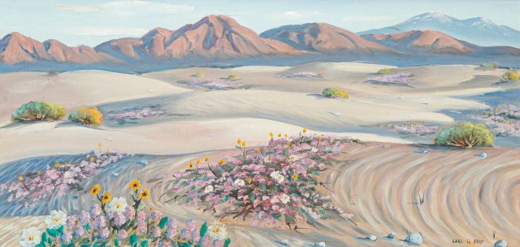 DESERT LANDSCAPE BY CARL G. BRAY. (1 of 4)