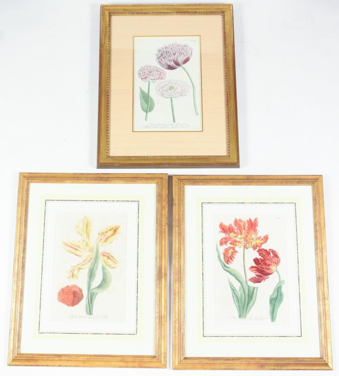 THREE JOHANN W. WEINMAN BOTANICAL PRINTS. (1 of 5)