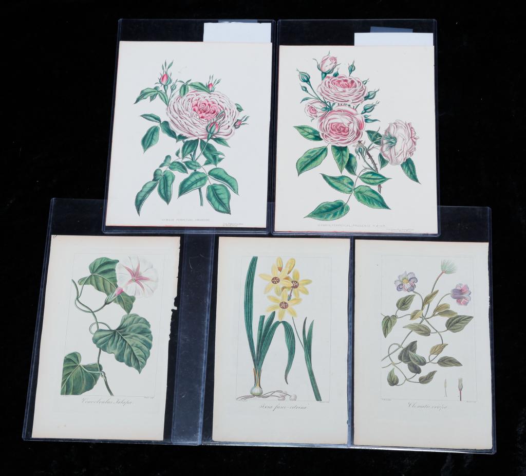 FIVE BOTANICAL PRINTS. (1 of 2)