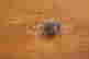 item-128817636=3