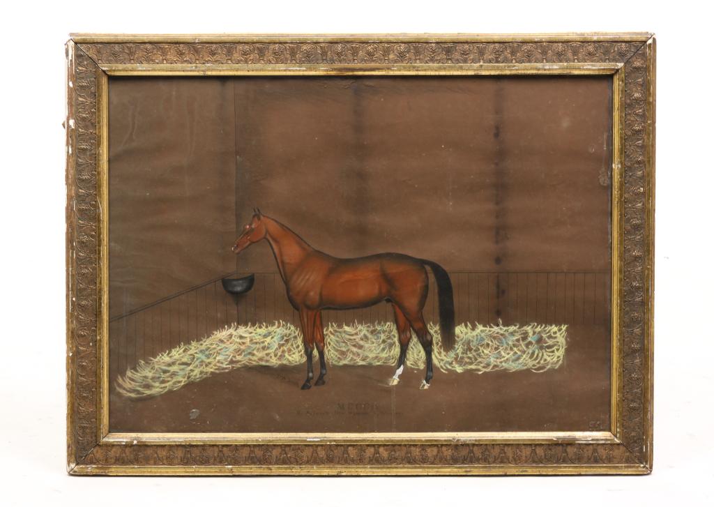 RACE HORSE "MECCA" BY DAN W. SMITH. (1 of 4)