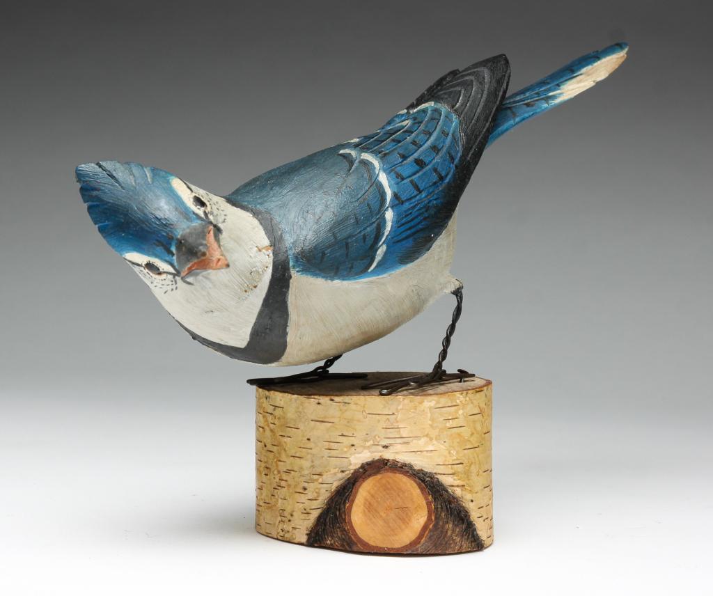 BLUE JAY BY HAZEL TYRRELL. (1 of 4)