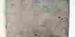 item-133786572=12