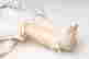 item-134088089=8