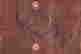 item-134088153=13