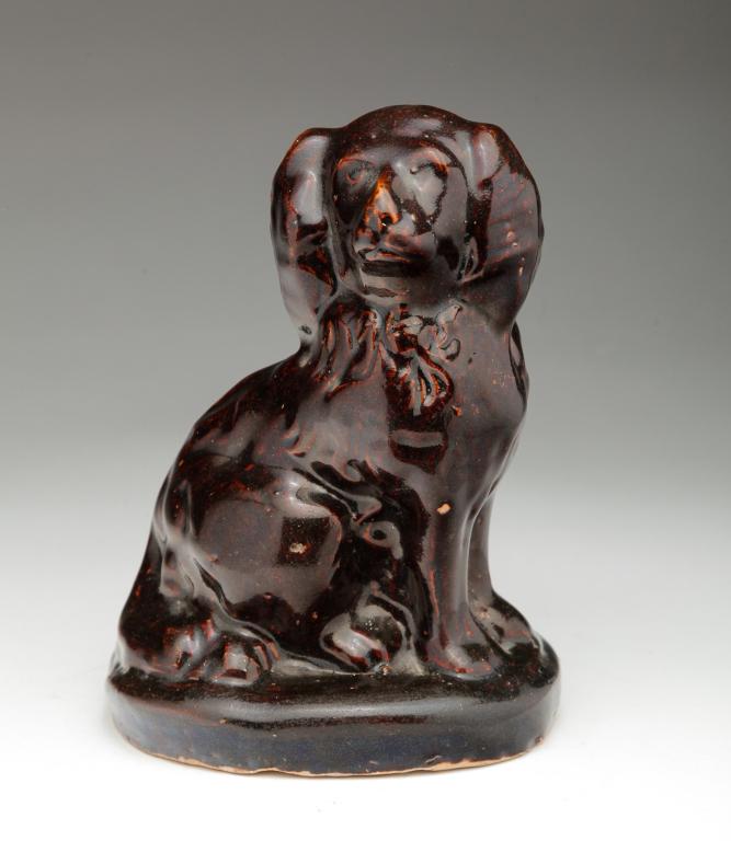 AMERICAN BUFF CLAY SPANIEL. (1 of 5)