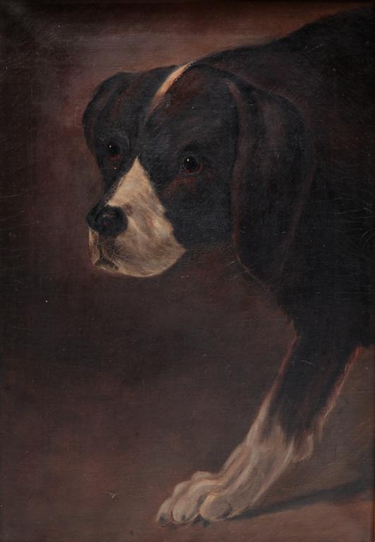 PORTRAIT OF A DOG.: American, early 20th century. Oil on canvas, unsigned. Naive image of a black and white dog on alert. Minor surface wear and inpainting. 19.75"h. 14"w., stenciled gilt frame, 24.5"h. 18.5"w.
