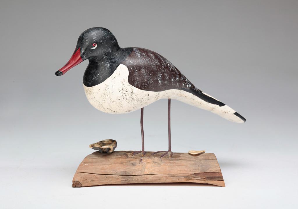 OYSTER CATCHER SHOREBIRD BY QUILLEN. (1 of 4)