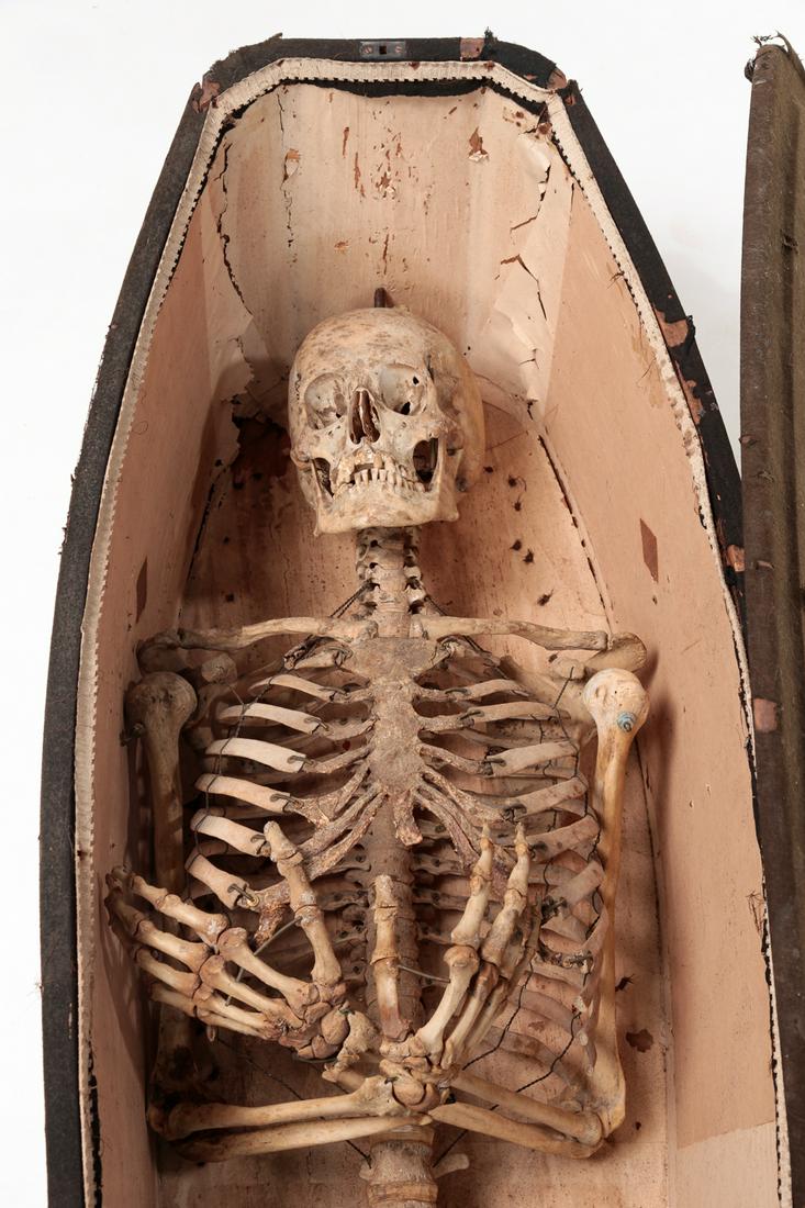 AMERICAN SKELETON IN A COFFIN. (1 of 12)