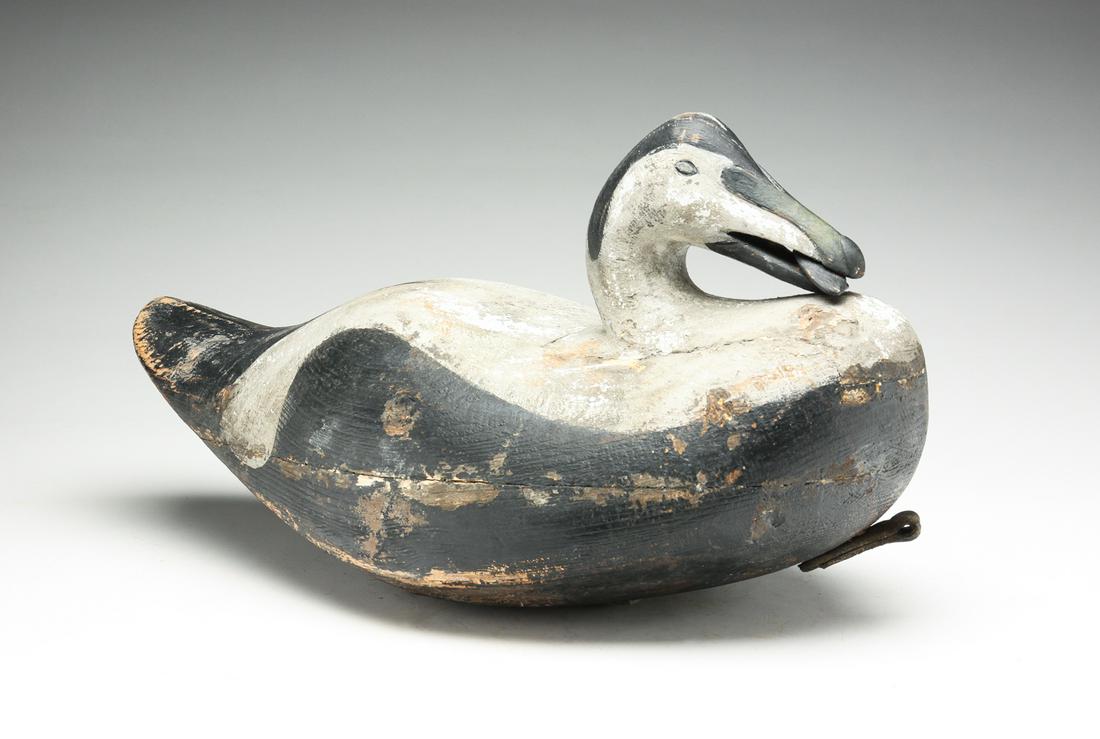AMERICAN EIDER DECOY WITH FISH. (1 of 4)