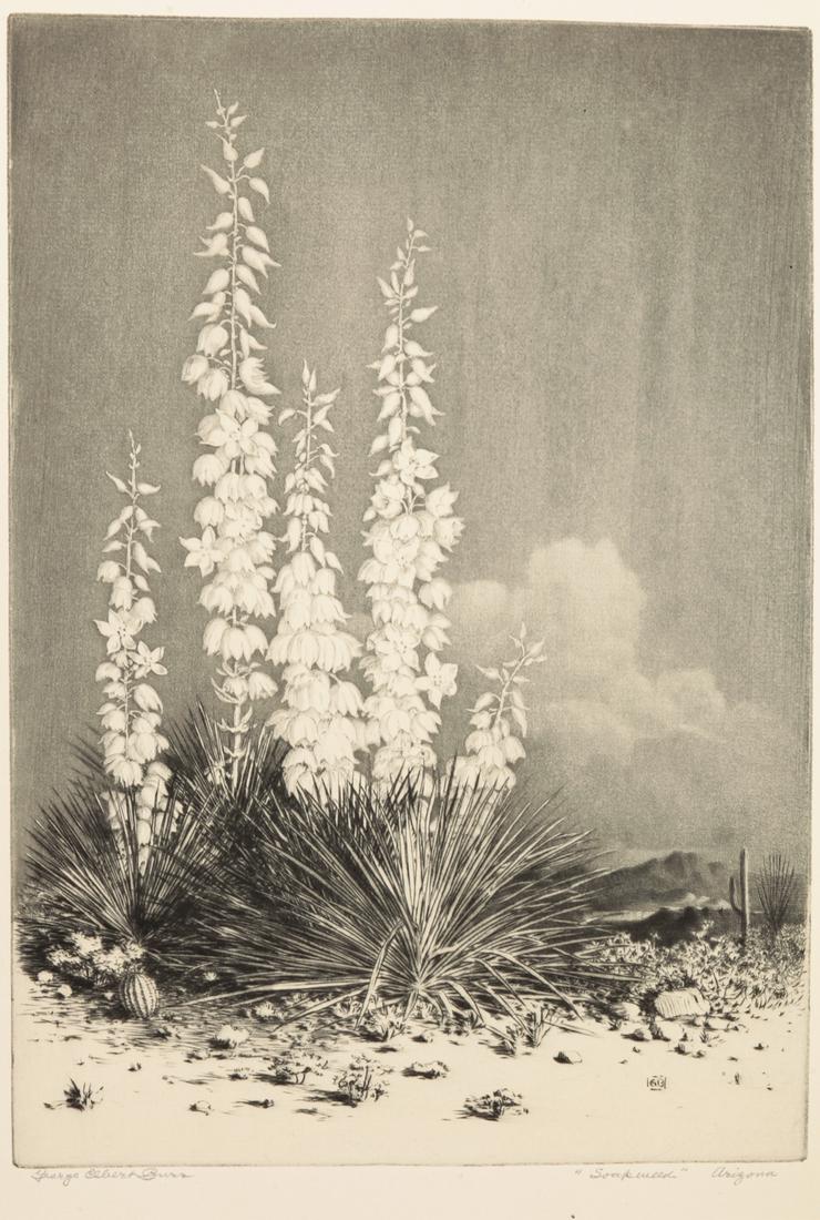"SOAPWEED - ARIZONA" PRINT, GEORGE ELBERT BURR. (1 of 3)