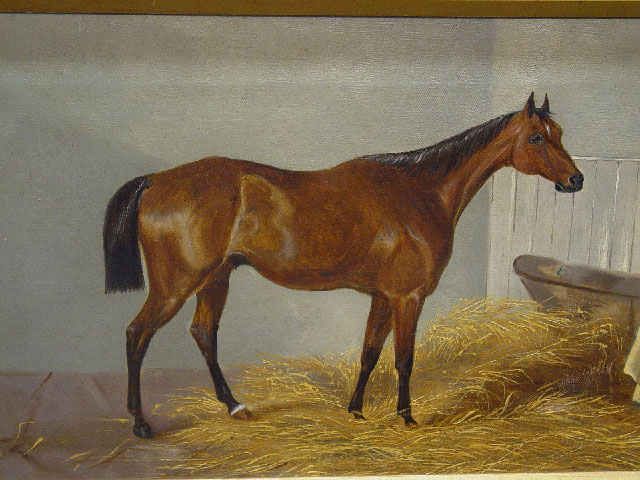 OIL ON CANVAS. Bay race horse in a straw - 2