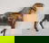 356: TWO CARVED WOODEN FOLK ART HORSES. Made as a set i - 2