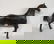 356: TWO CARVED WOODEN FOLK ART HORSES. Made as a set i - 4