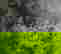 item-1447196=4