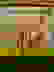 item-1638805=5