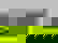 item-1874639=3