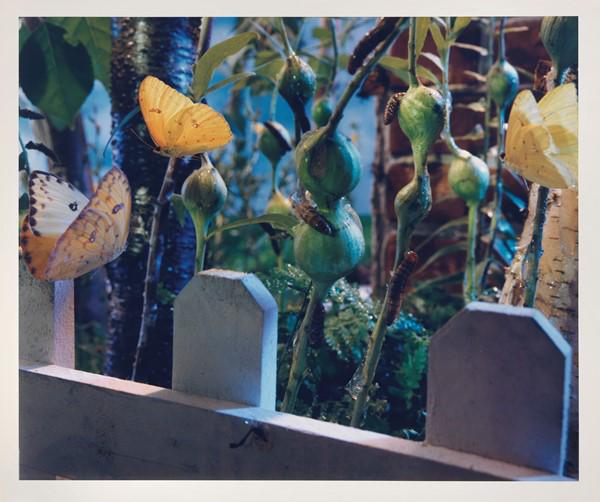 Gregory Crewdson: C-print vintage, ed. 10/10 cm. 46,5x56 (immagine), cm. 51x61 (carta) Firma, data e edizione al verso: Gregory Crewdson 1990 10/10. Edizione di 10 esemplari.