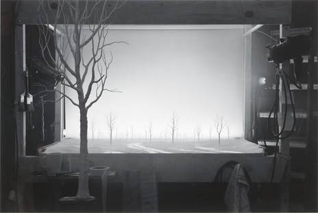 Hans Op de Beeck: Stampa lambda montata su dibond, in cornice di legno cm. 73,5x102 Edizione di 10 esemplari più 2 AP.