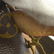 LOUIS VUITTON CONGO MESSENGER SHOULDER BAG - 9