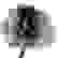 item-84802481=3
