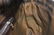 Authentic FENDI BAGUETTE Canvas Shoulder Bag - 20