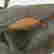 item-89524115=14